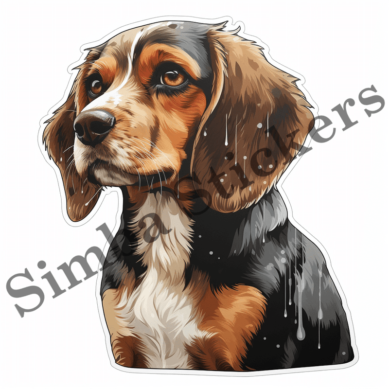 Beagle dogs in the rain, image set, 10 images