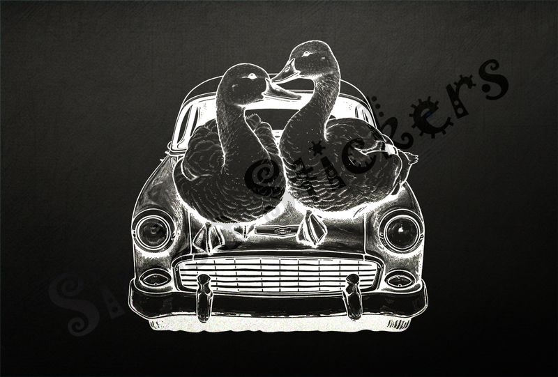 Ducklings cuddling romantically on hood of car, outline art