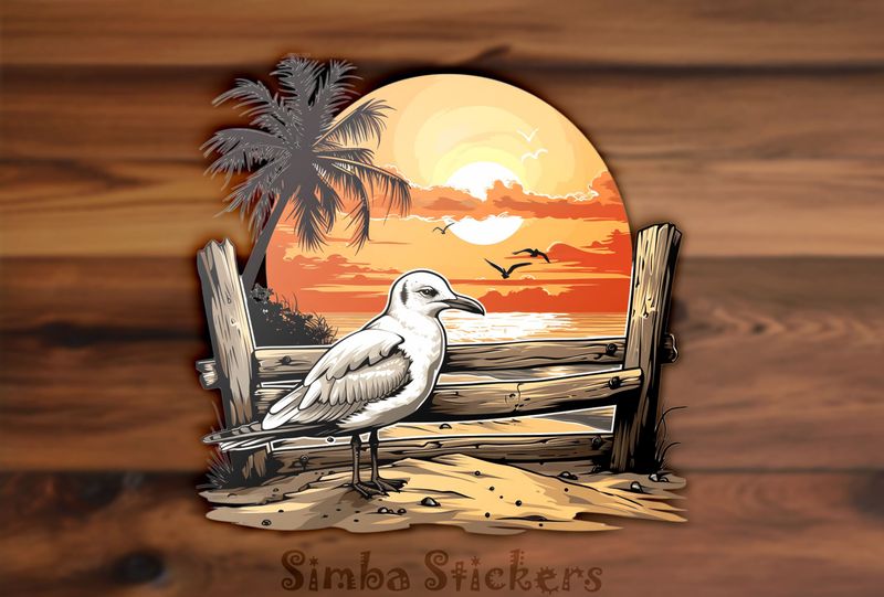Seagull on sand at sunset, j5lguj