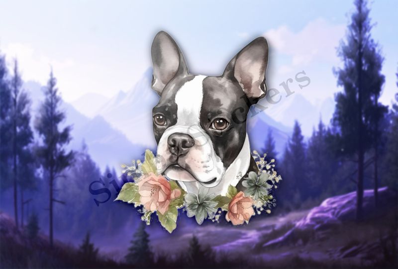 Boston Terrier dog face with flower collar, watercolour