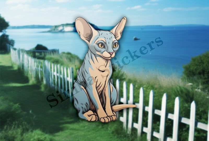 Sphynx cat sitting