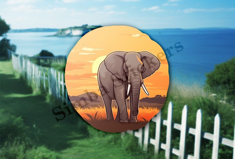 African elephant at sunrise