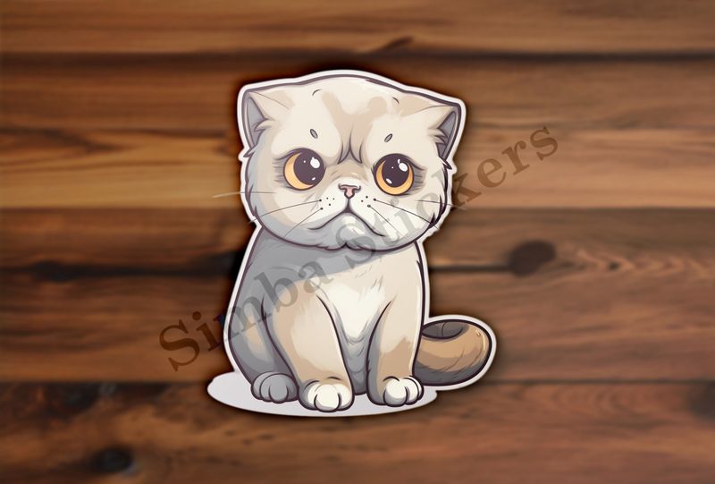 Scottish Fold cat