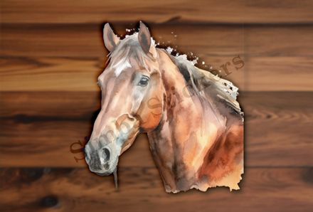 Brown horse , neck up, watercolour