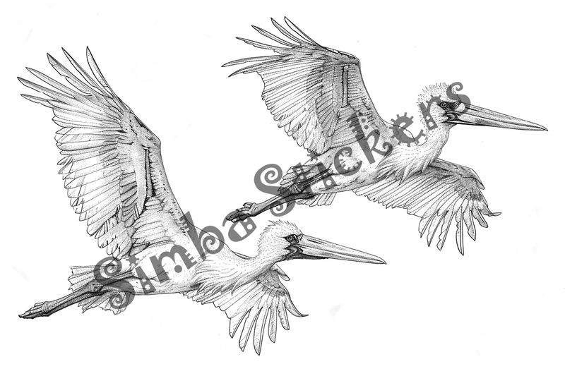 Colouring pages, bundle of marabou storks, 10 images