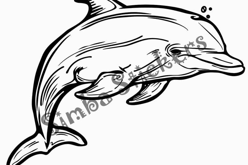 Colouring pages, bundle of singular dolphins, 10 images