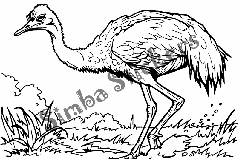 Colouring pages, bundle of ostriches, 50 images