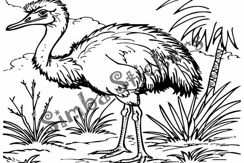 Colouring pages, bundle of ostriches, 50 images
