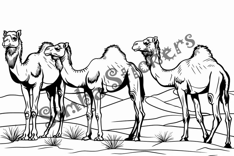 Colouring pages, bundle of Sahara Desert landscape with camels and dromedars, 10 images