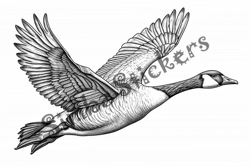 Colouring pages, bundle of geese flying, 10 images