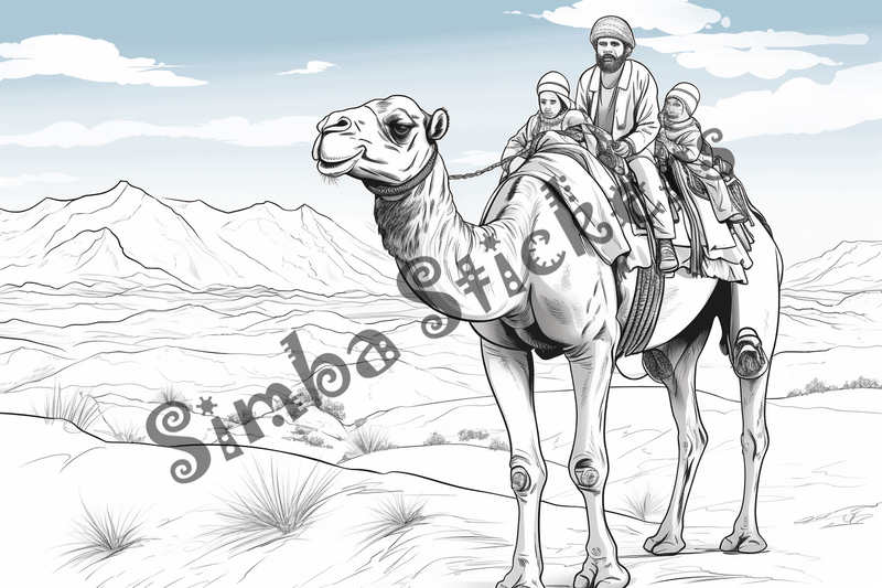 Colouring pages, bundle of camels, 25 images 2