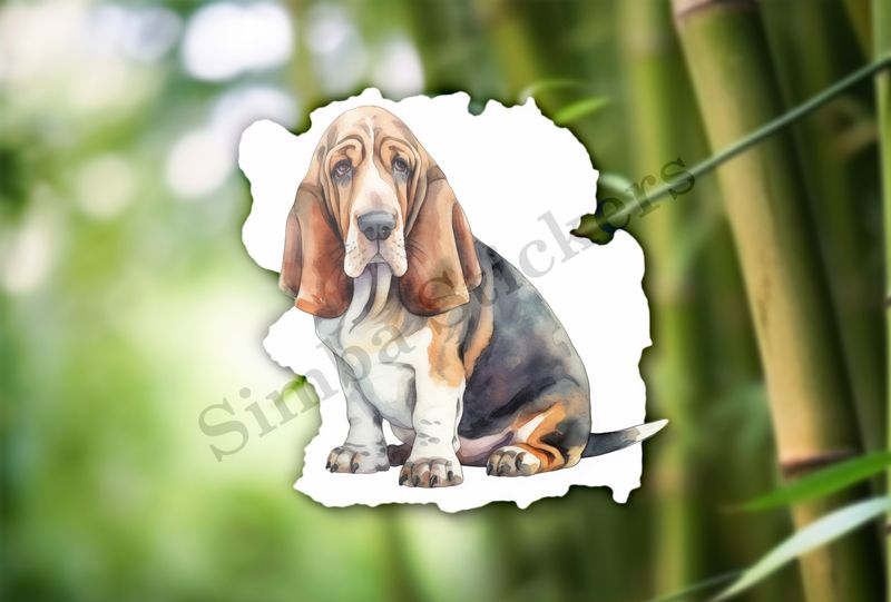 Basset Hound dog, watercolour