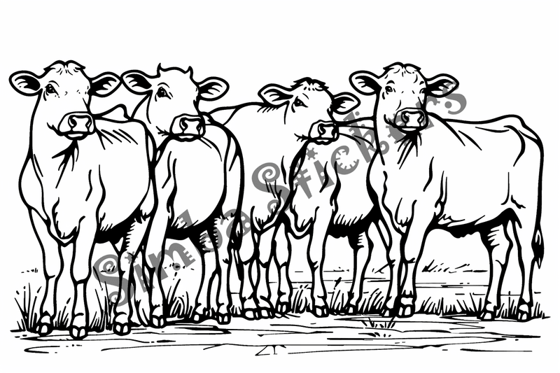 Colouring pages, bundle of cattle, complex, 25 images
