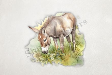 Donkey eating grass, watercolour