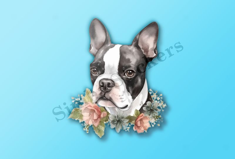 Boston Terrier dog face with flower collar, watercolour