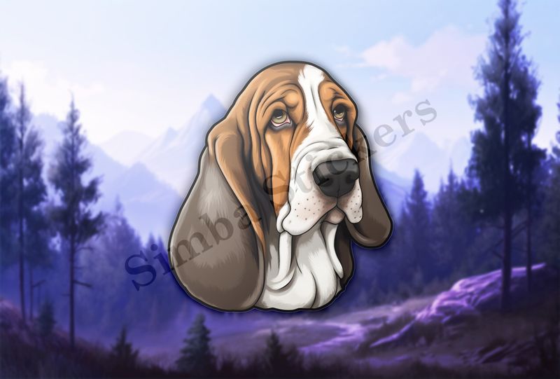Basset Hound dog