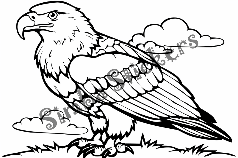 Colouring pages, bundle of eagles 2, 25 images