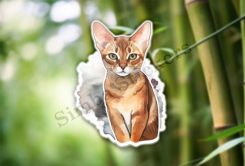Abyssinian Cat, watercolour