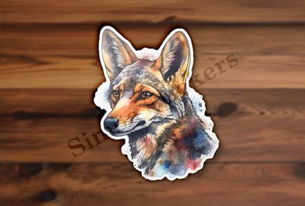 Jackal head, watercolour