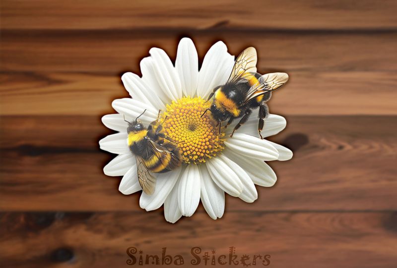 Bees at either end of a daisy flower