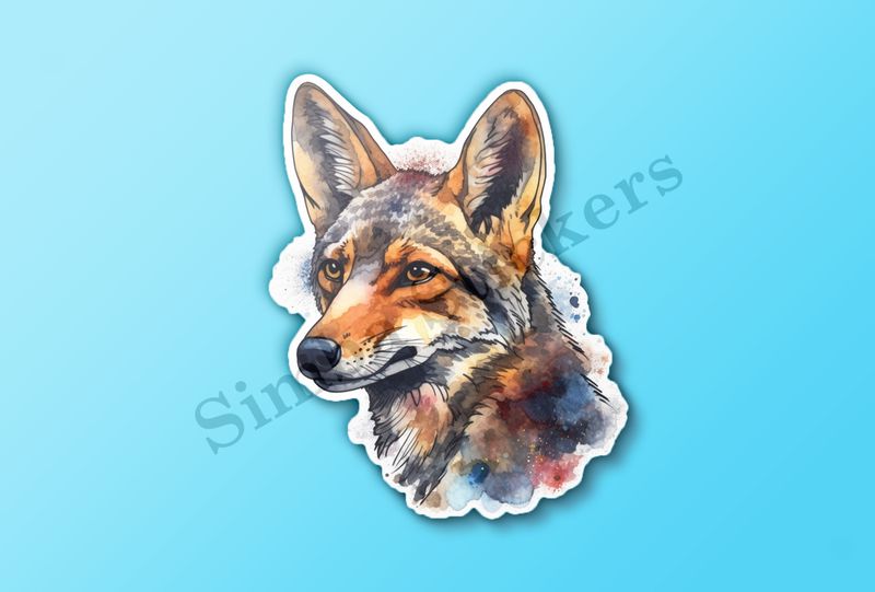 Jackal head, watercolour