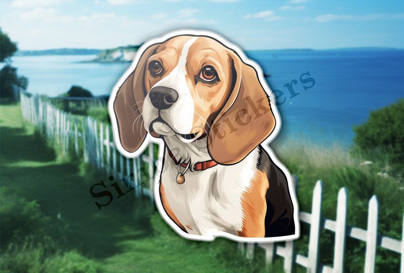 Beagle dog with collar
