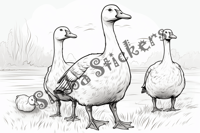 Colouring pages, bundle of geese, 25 images