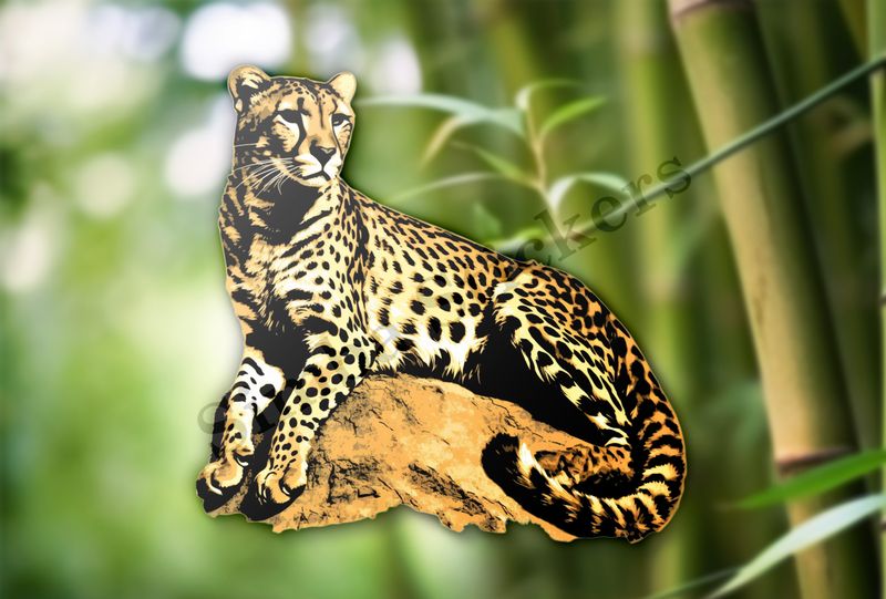 Cheetah resting on a rock