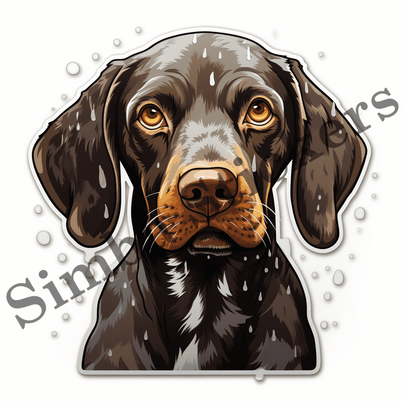 German Shorthaired Pointer dogs in the rain, image set, 10 images