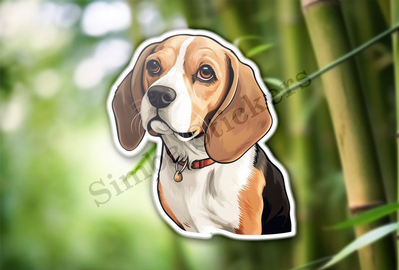 Beagle dog with collar