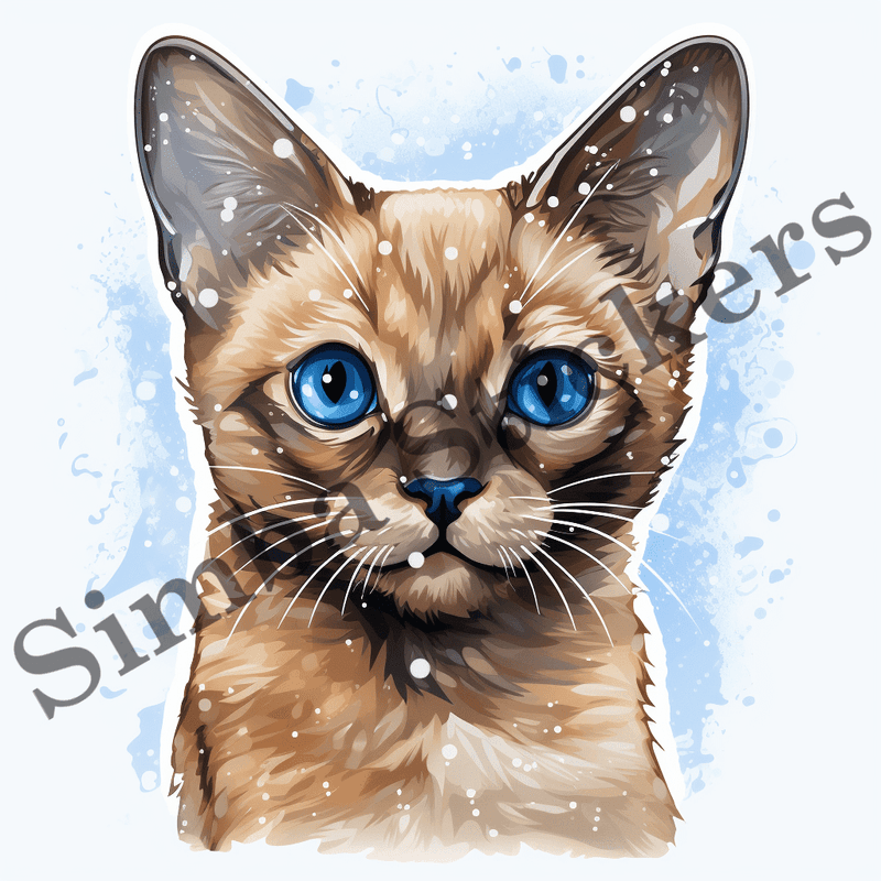 Tonkinese cats in snow, image set, 10 images