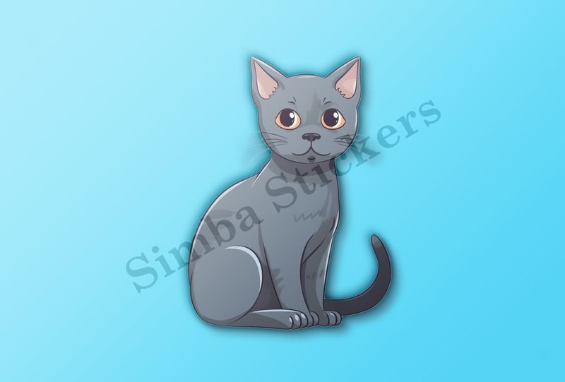 Russian blue cat sitting, tail wagging