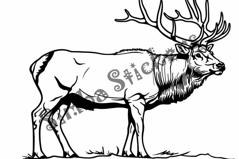 Colouring pages, bundle of singular elks, 10 images