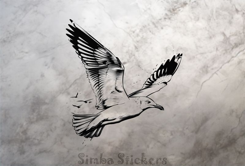 Seagull in flight, outline art, lf8vfb