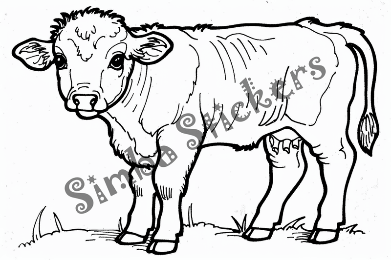 Colouring pages, bundle of cattle, 25 images 2