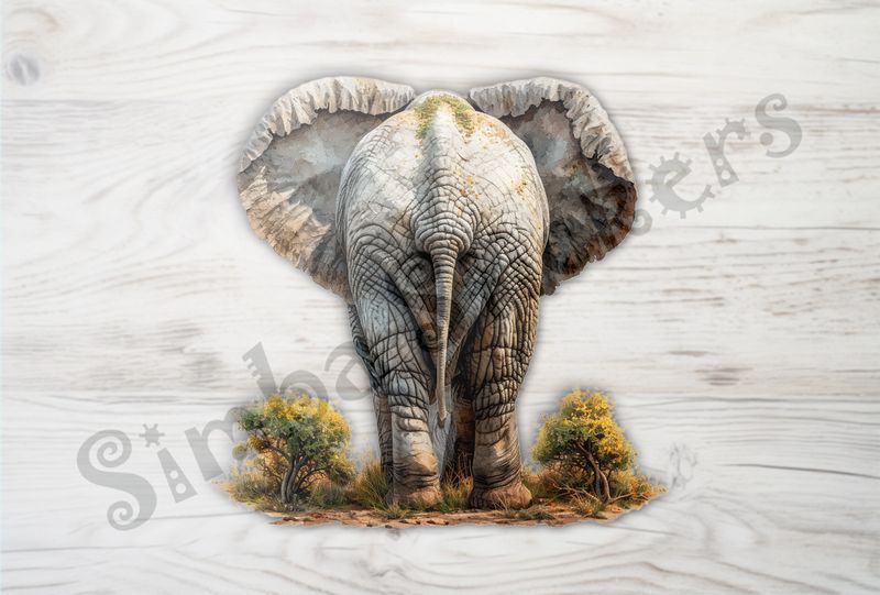 Elephant walking away, ears wide open, from behind