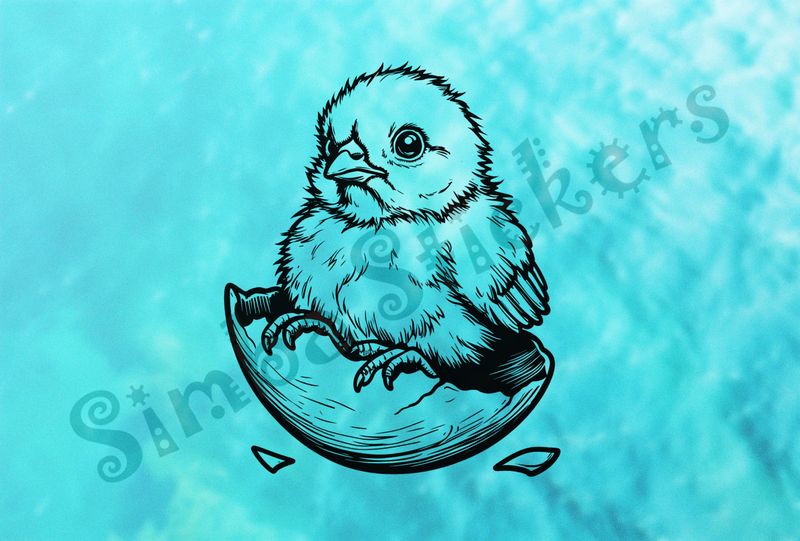 Chick sitting on egg shell after hatching, outline art