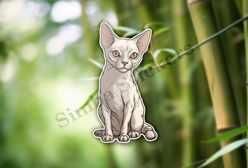 Devon Rex cat
