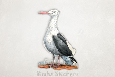 Funny-looking seagull standing on ground, watercolour, b1efmn