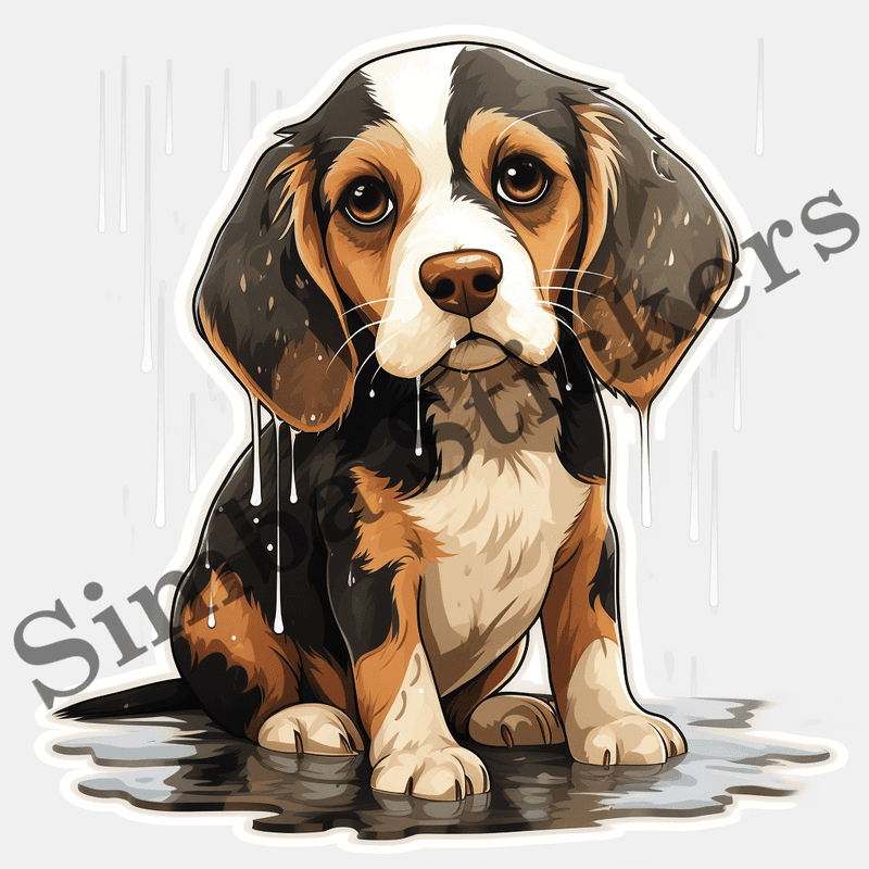 Beagle dogs in the rain, image set, 10 images