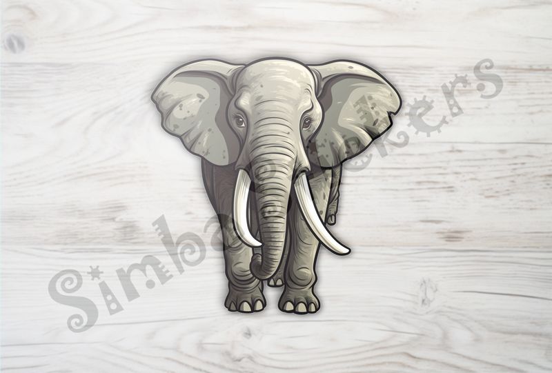 Elephant walking, directly from the front