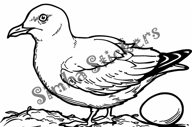 Colouring pages, bundle of seagulls with eggs 10 images