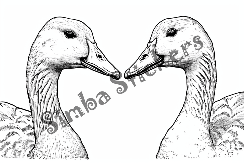 Colouring pages, bundle of geese, 25 images