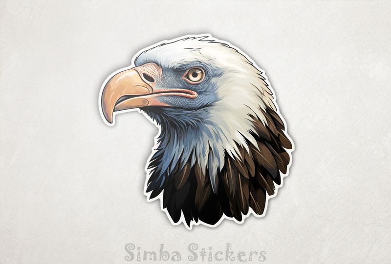Vulture head, ju8enp