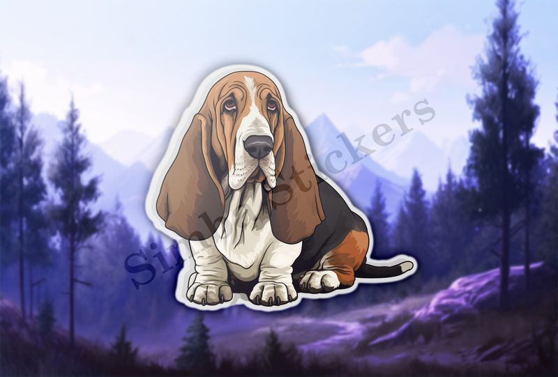 Basset Hound dog