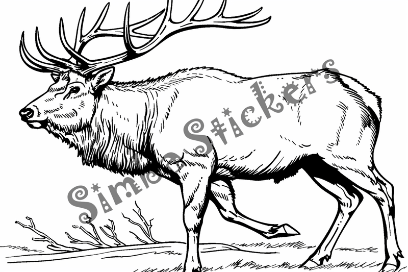 Colouring pages, bundle of elks, 25 images