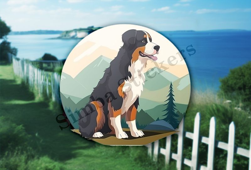 Bernase Mountain dog