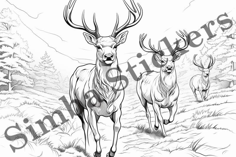 Colouring pages, bundle of deer, 10 images
