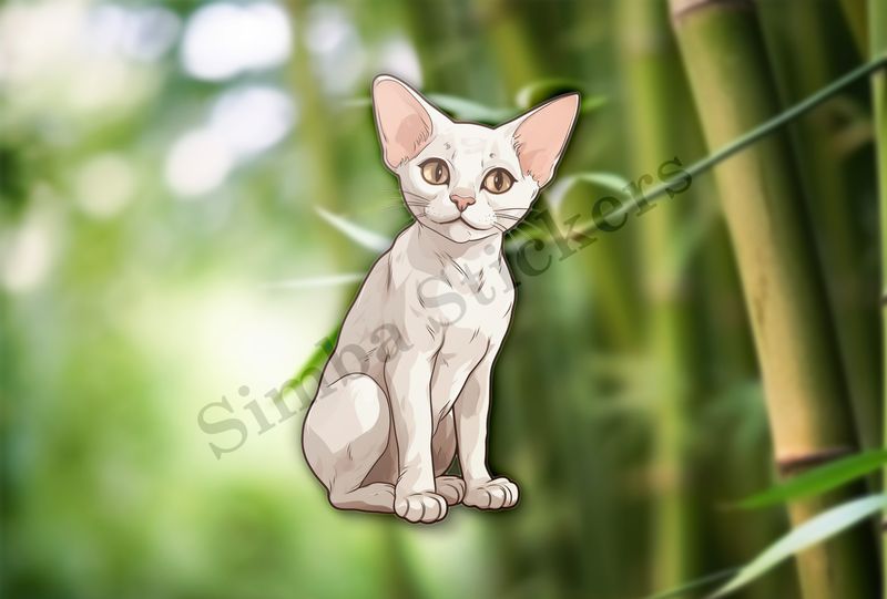 Devon Rex cat with head tilted