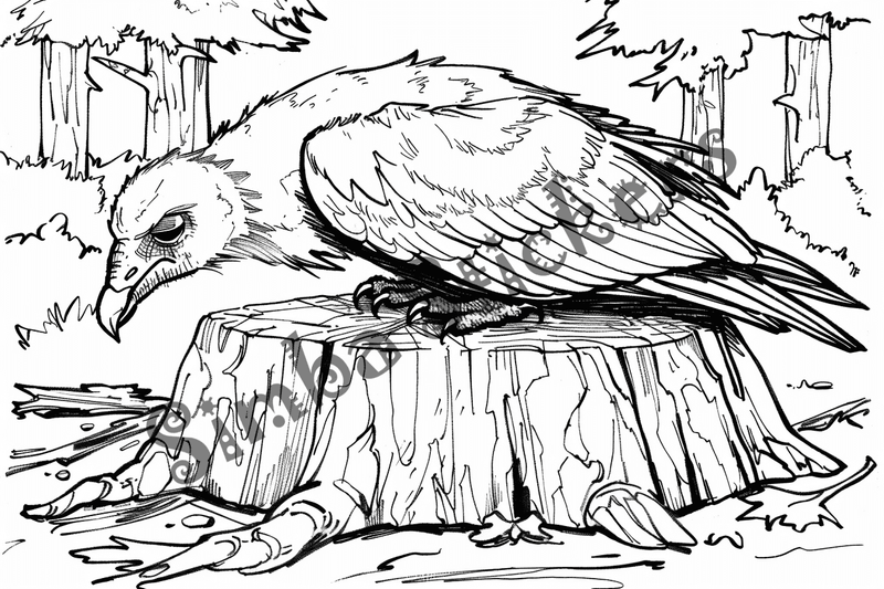 Colouring pages, bundle of vultures, 50 images, kqxcna